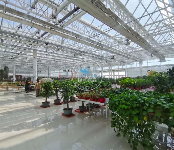 greenhouse misting system